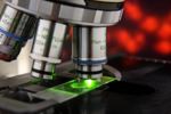 Sci-Tech Consulting Services