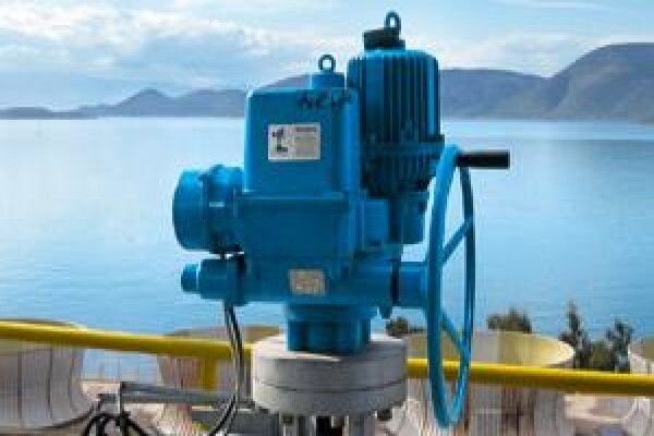 Drehmo Actuators