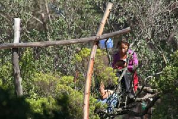 Imhoff Waldorf School