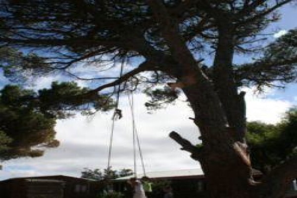Imhoff Waldorf School