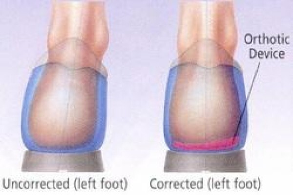 Greg Robinson Podiatrist