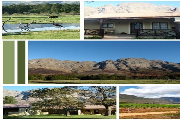 Franschhoek Country Cottages