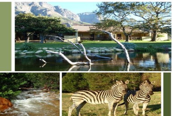 Franschhoek Country Cottages