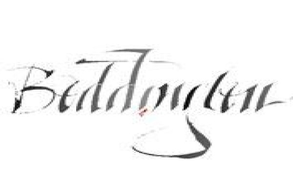 Signature Ink