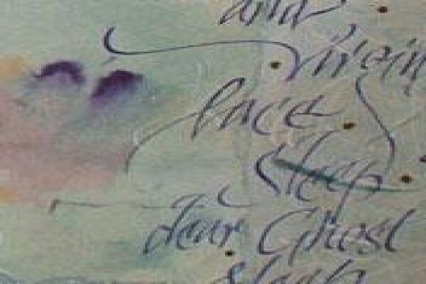 Signature Ink