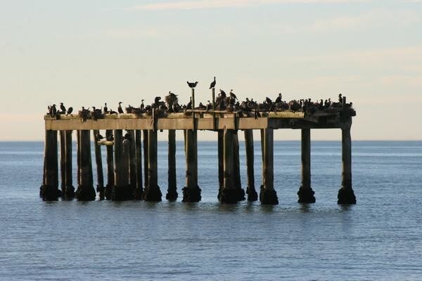 Fisherman'S Rest