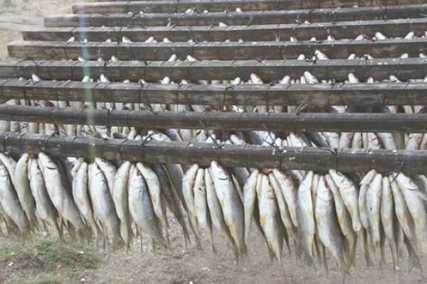 Fisherman'S Rest