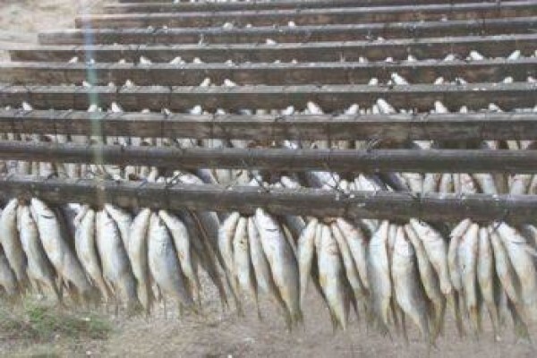 Fisherman'S Rest