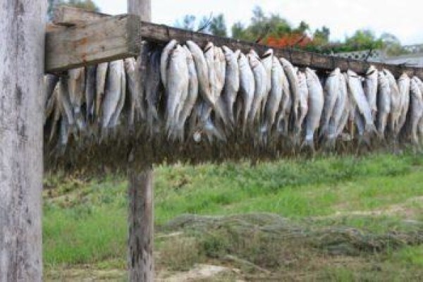 Fisherman'S Rest