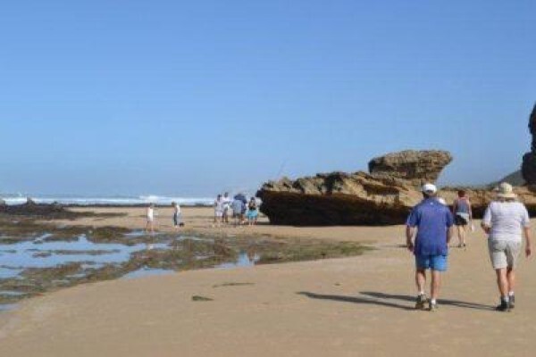Oribi Haven
