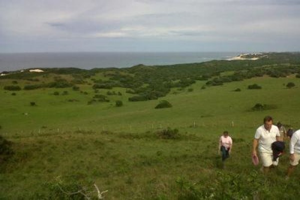 Oribi Haven