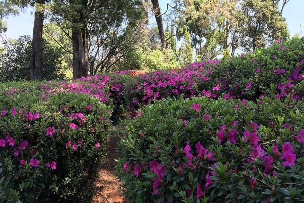 Kuhestan Organic Farm Products