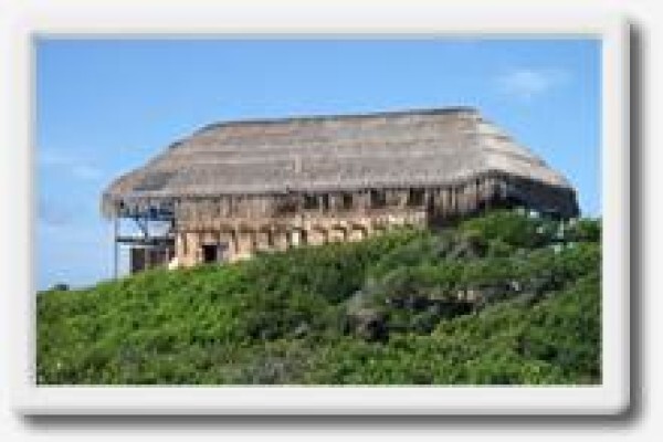 Island Rock