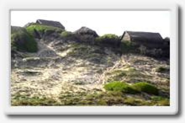 Island Rock