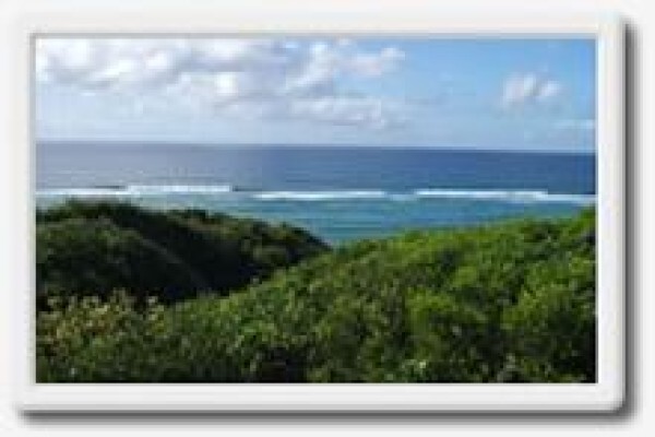 Island Rock