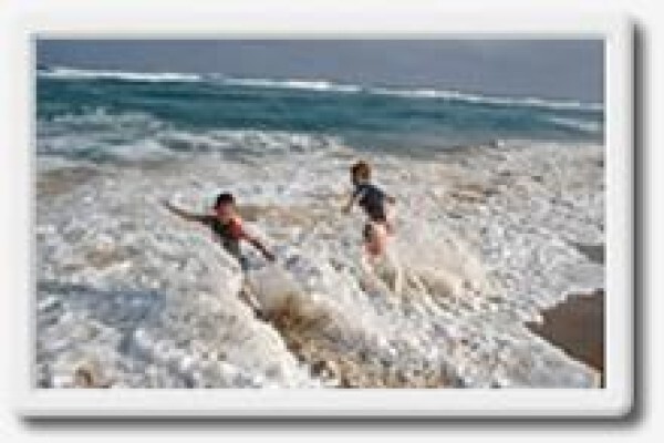 Island Rock