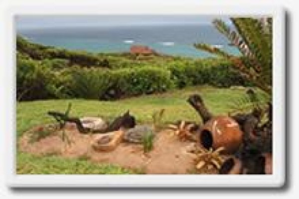 Island Rock
