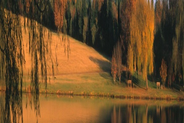 Johannesburg Guesthouses