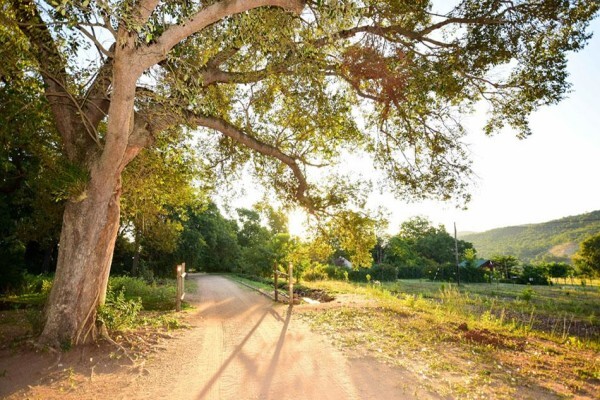 Kiaat Bungalows