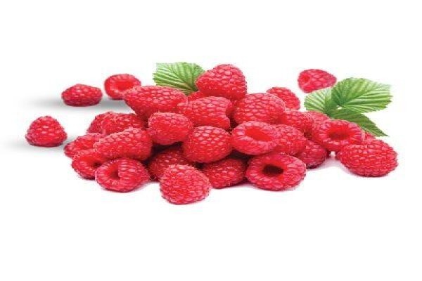 Kuhestan Organic Farm Products