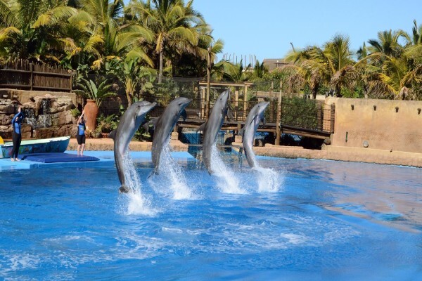 S A Tourism Directory
