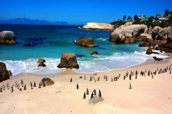 Simonstown Accommodation
