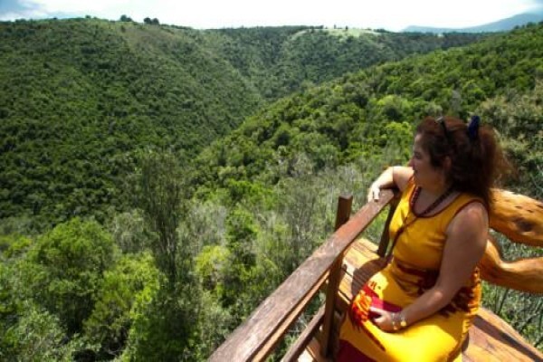 Teniqua Treetops