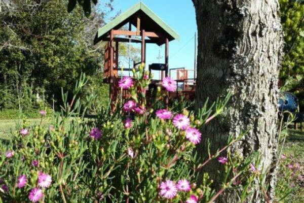 Teniqua Treetops