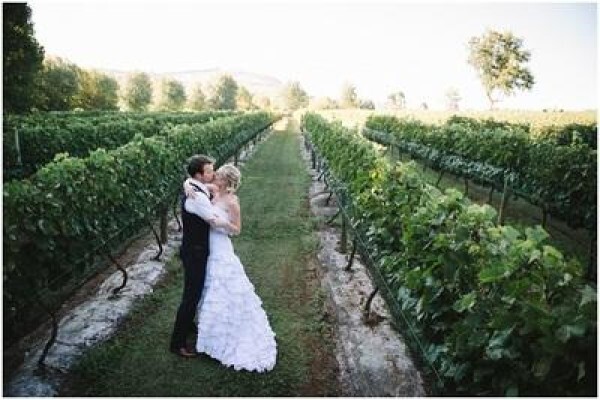 Abingdon Wine Estate