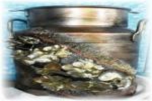 Sizzling Beads & Craft