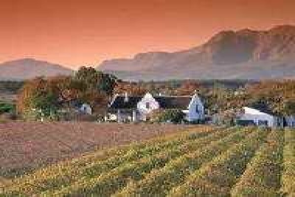 Self Drive South Africa