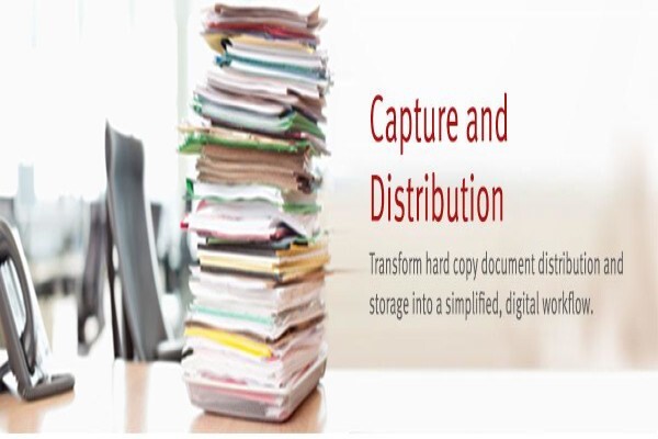 Dynamic Business Systems