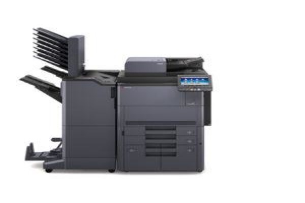 Dynamic Business Systems