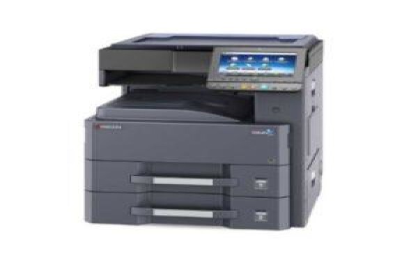 Dynamic Business Systems