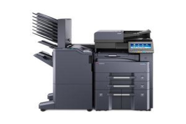 Dynamic Business Systems