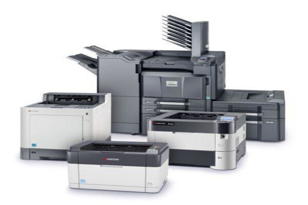 Dynamic Business Systems