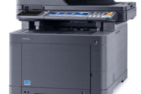 Dynamic Business Systems