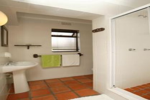 26 On Zinnia