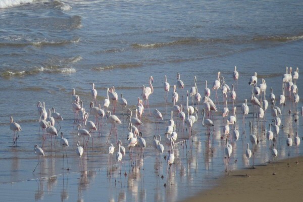 Garden Route Accommodation