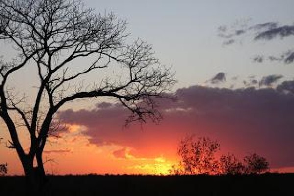 Ilala Safaris And Guest Accommodation
