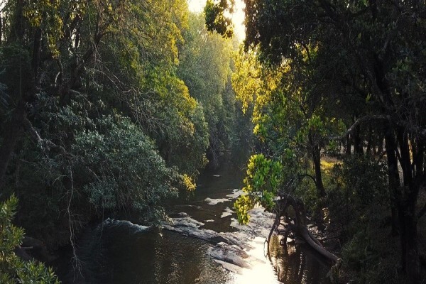 Laughing Waters