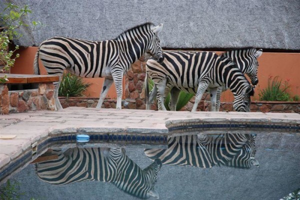 Sa Venues And Hotels