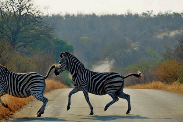 South Africa Accommodation