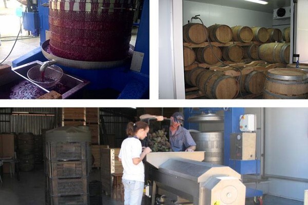 Franki'S Vineyards