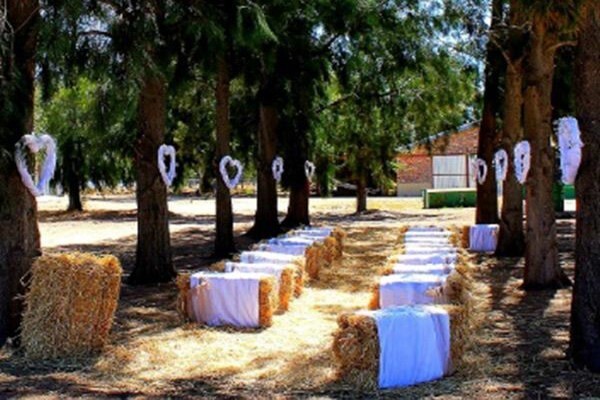 Franki'S Vineyards