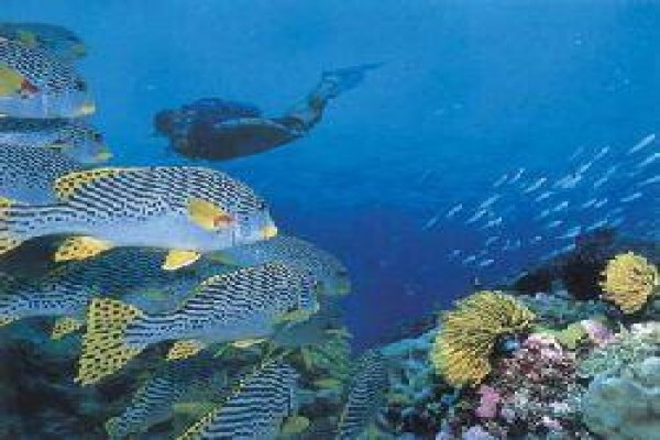 Mozambique Accommodation
