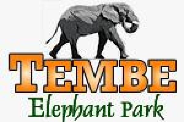 Tembe Elephant Park And Safari Lodge