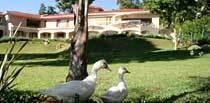 Southern Light Guest House
