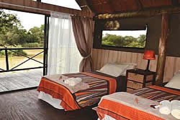 Limpopo Happenings