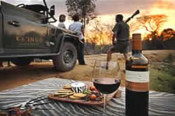 Limpopo Happenings